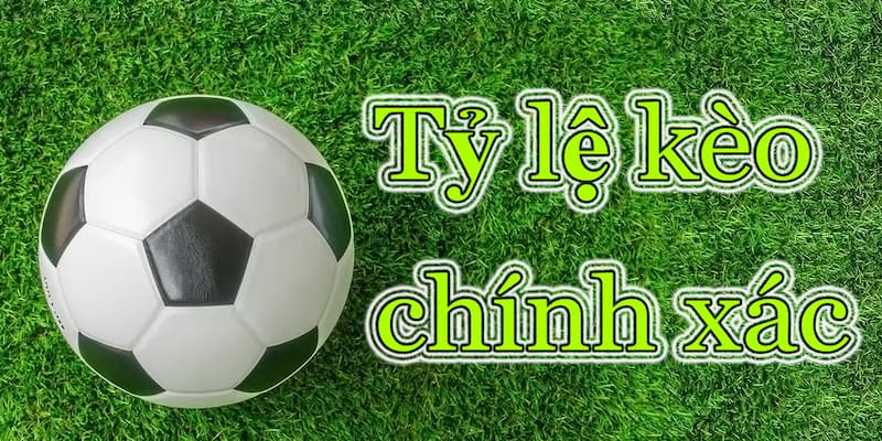 Tỷ lệ kèo 7M cung cấp những loại hình nào?